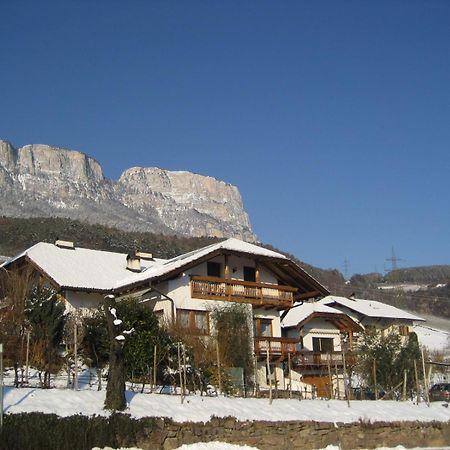 Gfillhof Ferienwohnung 1 Appiano Sulla Strada Del Vino Exterior foto
