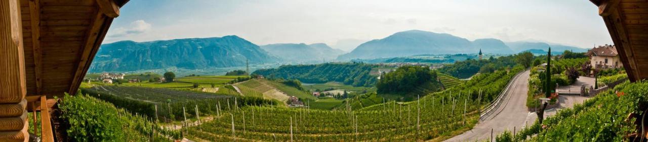 Gfillhof Ferienwohnung 1 Appiano Sulla Strada Del Vino Exterior foto