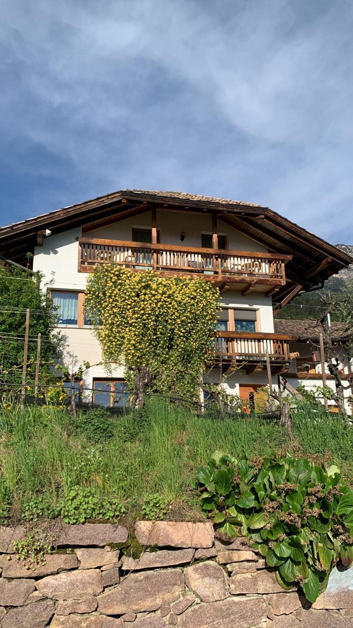 Gfillhof Ferienwohnung 1 Appiano Sulla Strada Del Vino Exterior foto